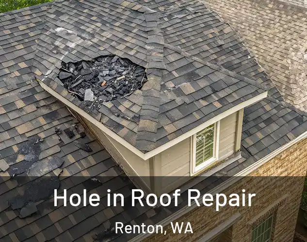  Hole in Roof Repair Renton, WA