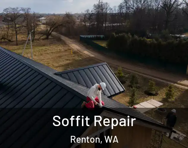 Soffit Repair Renton, WA